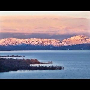 Meet your Posher, Selena